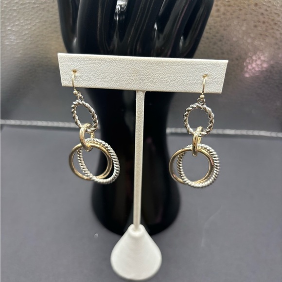 Elegant Two Tone Earrings - Picture 1 of 4